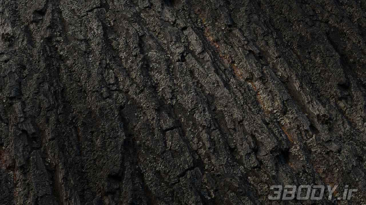 متریال پوست درخت tree bark عکس 1